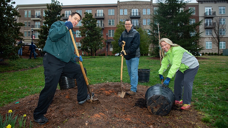 Associates planting a tree Associates planting a tree